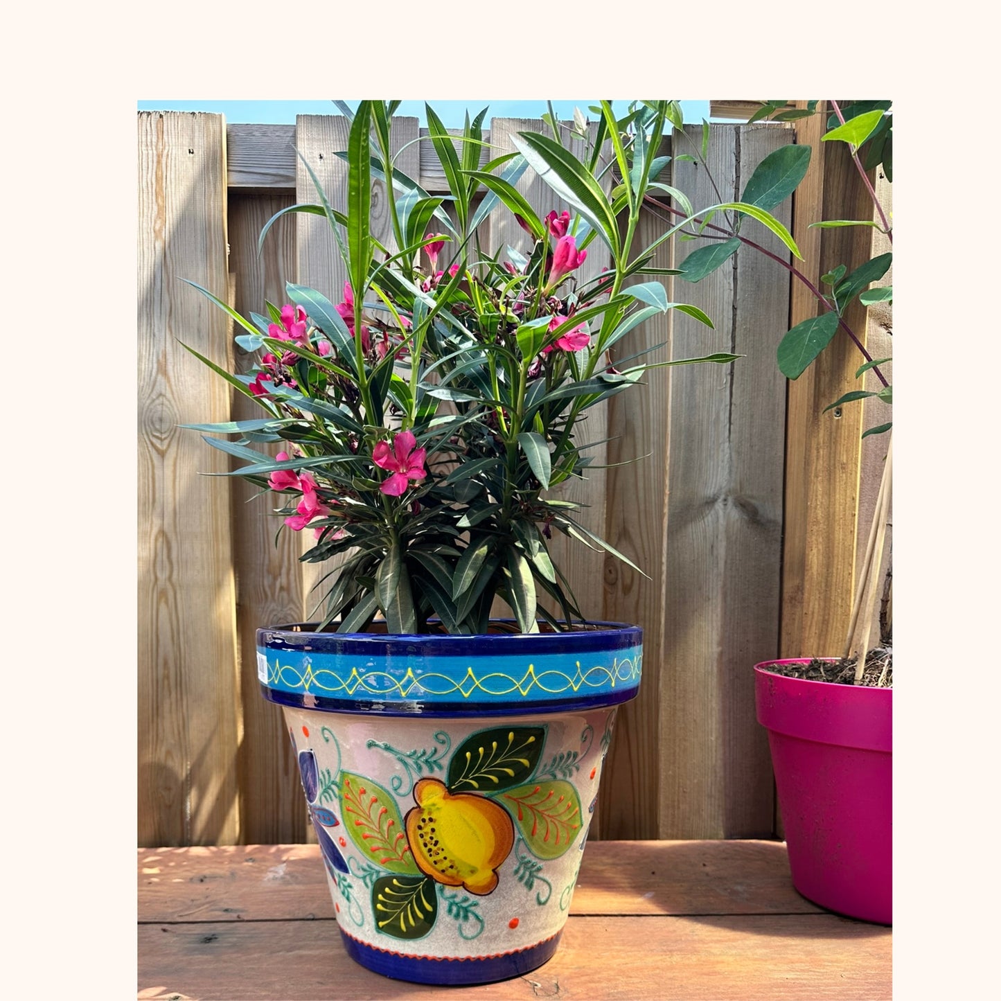 Handbeschilderde Spaanse Bloempot – Citroenen | Ø28 x H30 cm |