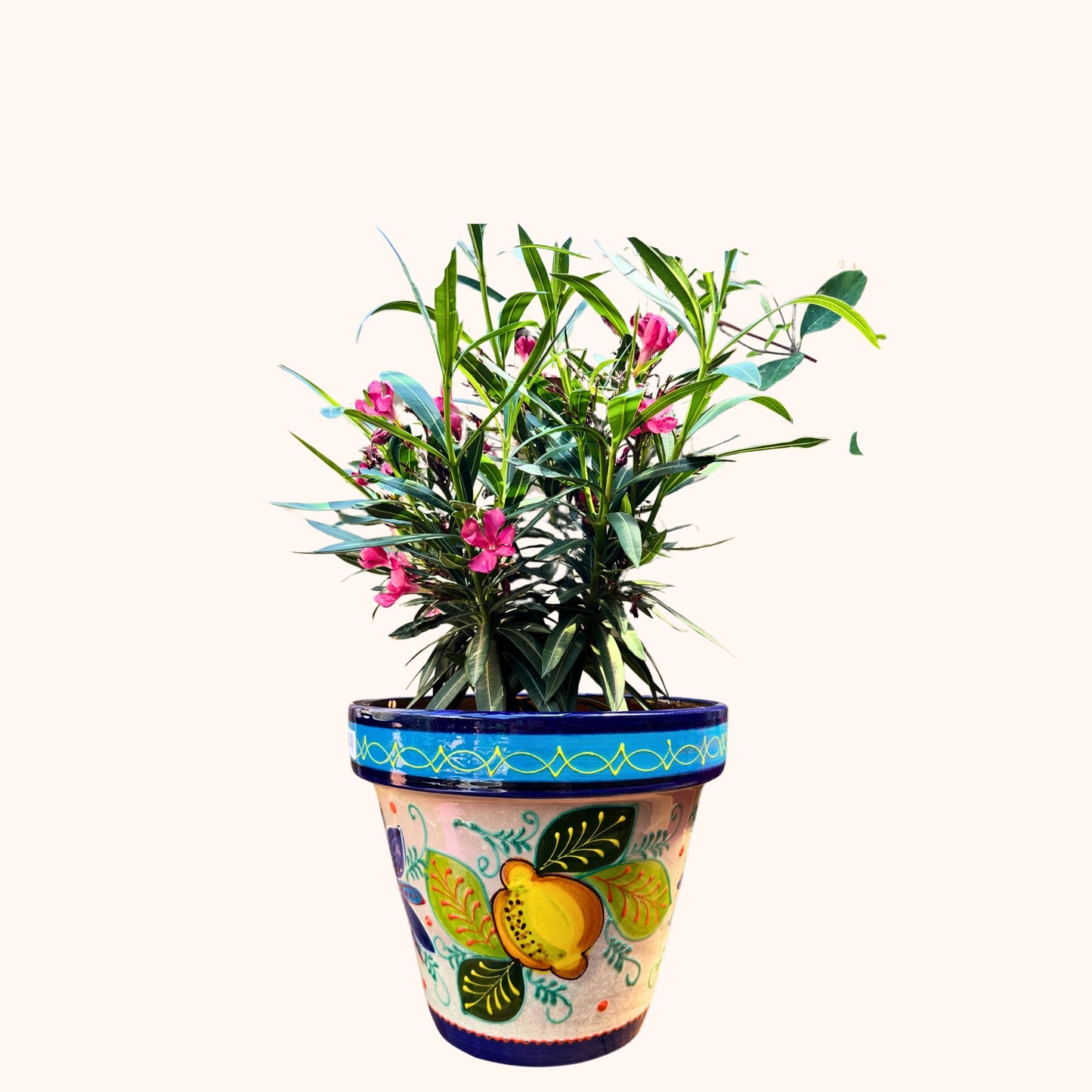 Handbeschilderde Spaanse Bloempot – Citroenen | Ø28 x H30 cm |
