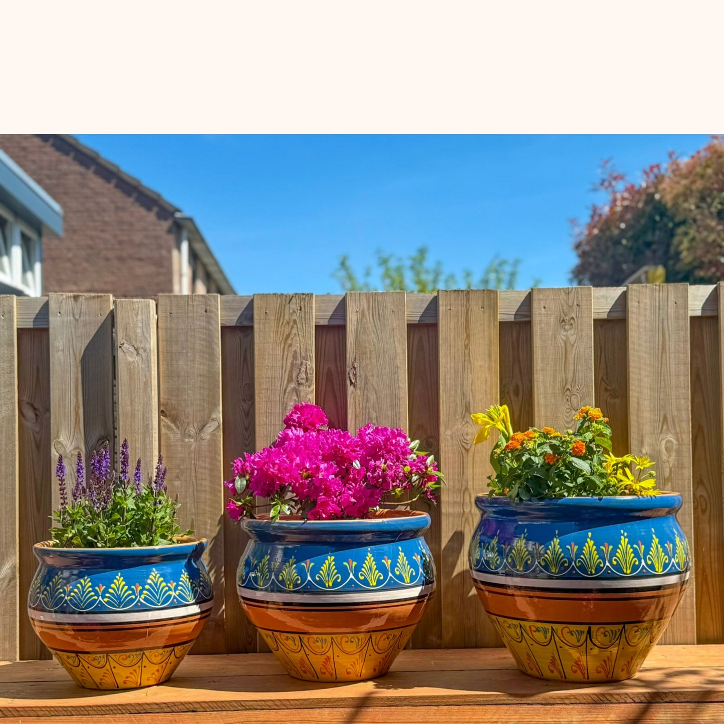 Handbeschilderde Spaanse plantenpot Azul y amarillo (terracotta)