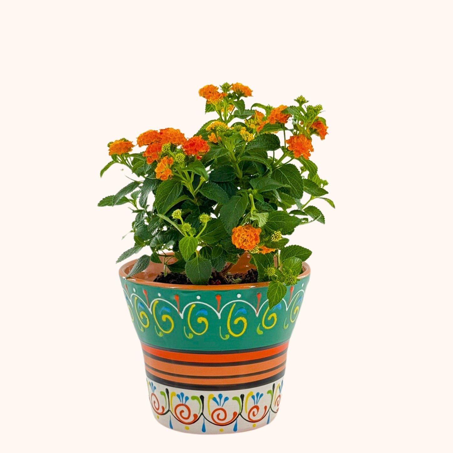 Handbeschilderde Spaanse keramieke bloempot Verde y Blanco