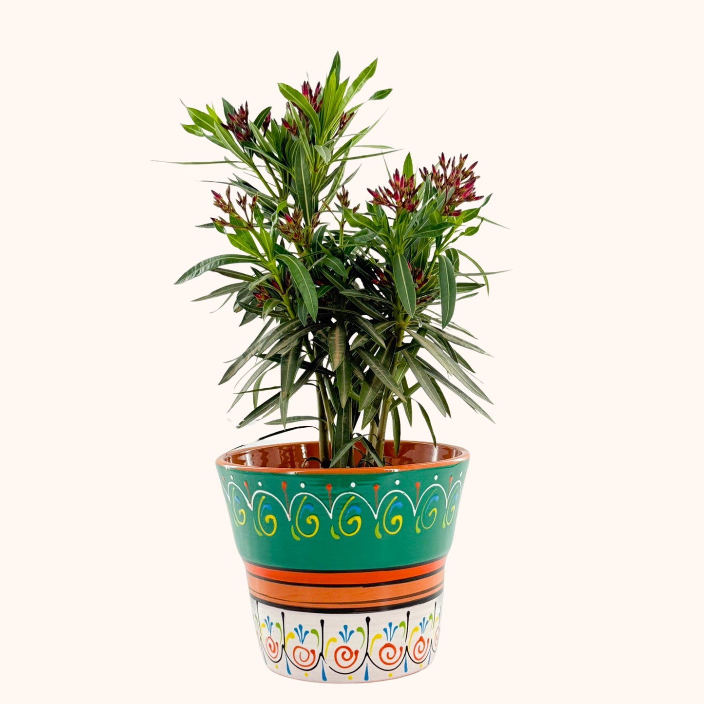 Handbeschilderde Spaanse keramieke bloempot Verde y Blanco