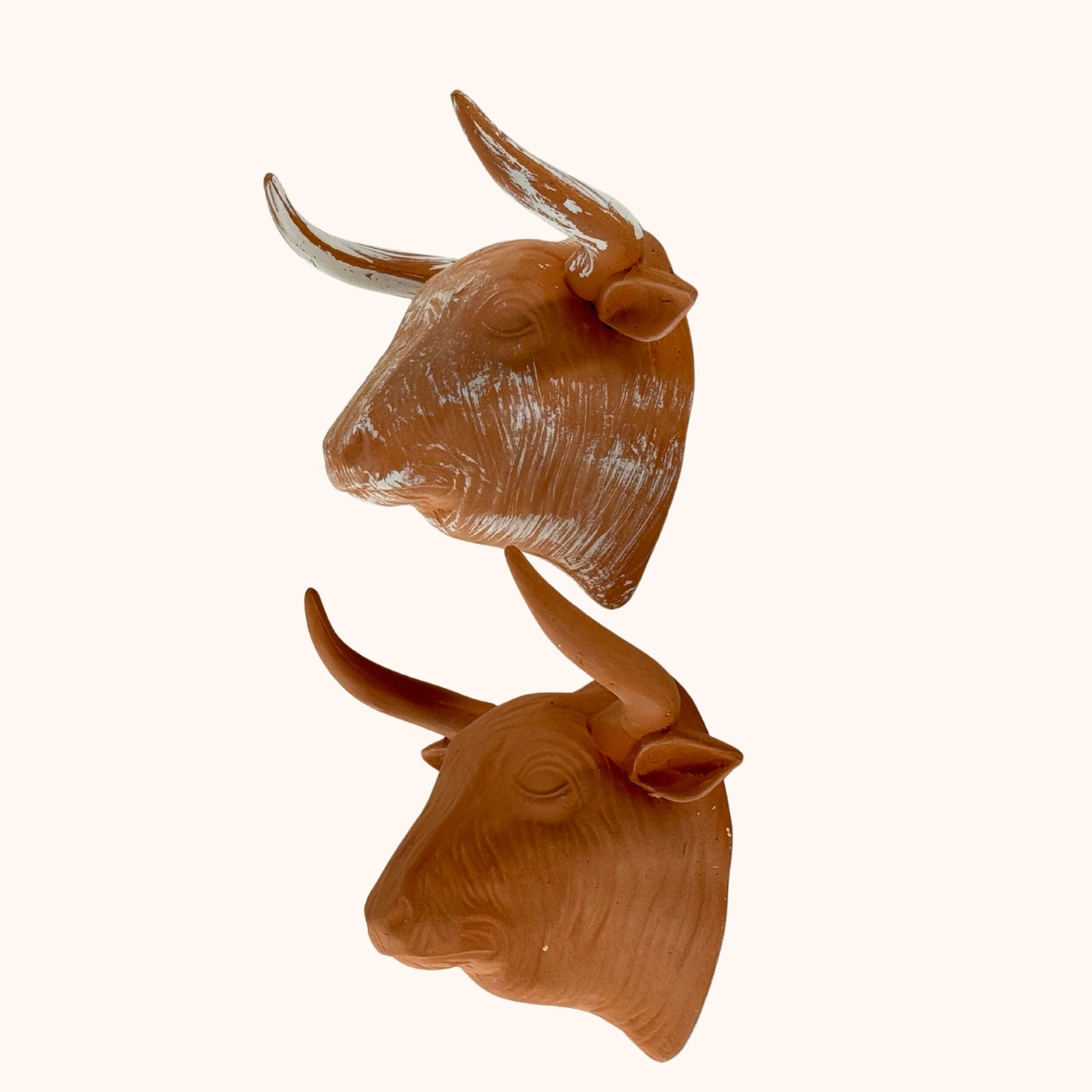 Terracotta stierenkop wanddecoratie met witte waas