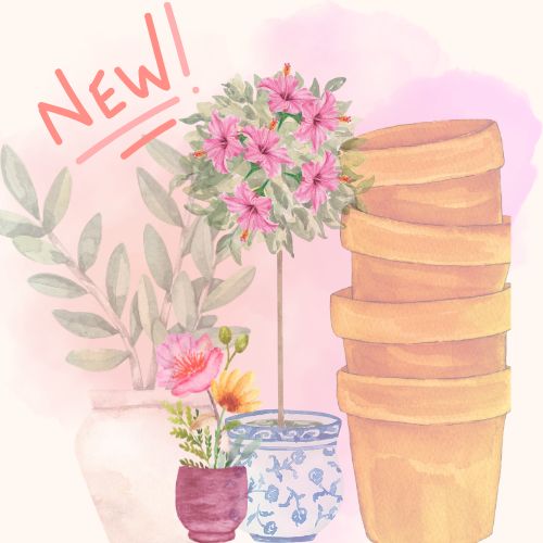 Nuevo-nieuw