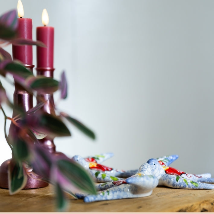 Accesorios - Accessoires