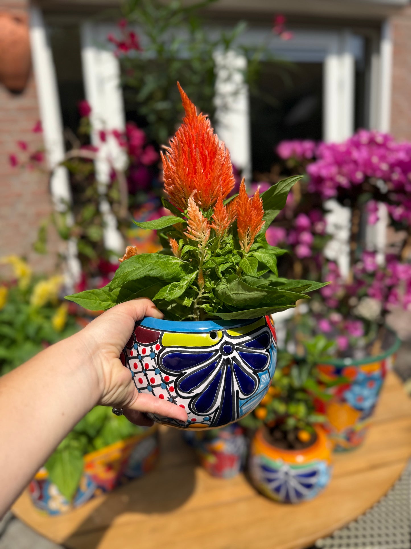 Handgemaakte Fairtrade Mexicaanse overpot rond 13 cm 🌿Drie varianten.