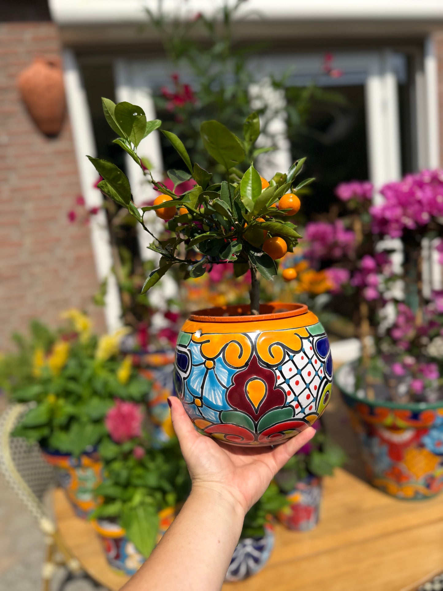 Handgemaakte Fairtrade Mexicaanse overpot rond 13 cm 🌿Drie varianten.