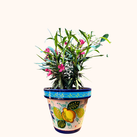 Handbeschilderde Spaanse Bloempot – Citroenen | Ø28 x H30 cm |