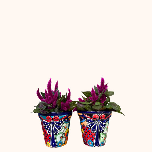 Handgemaakte Fairtrade Mexicaanse overpot 16 cm 🌿