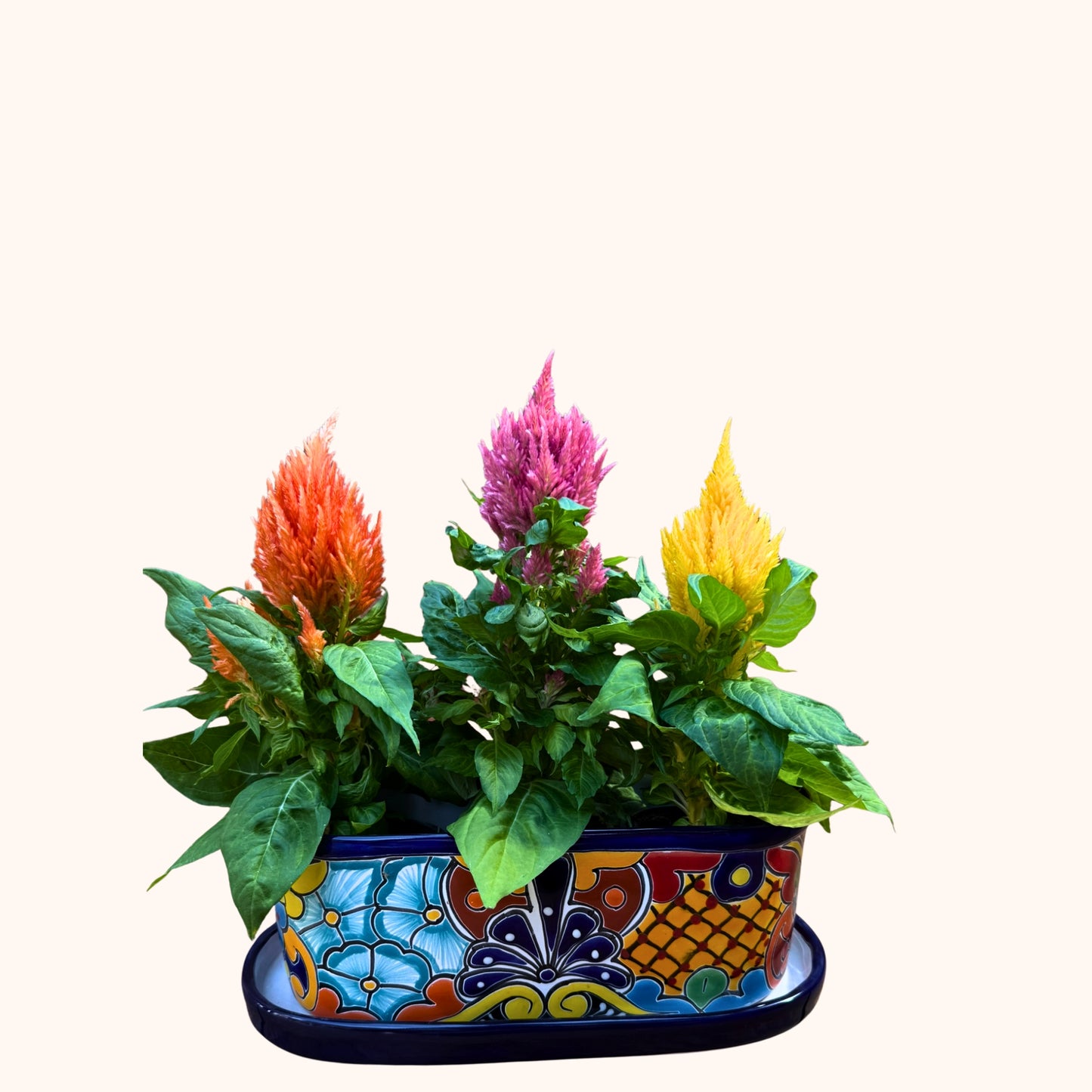 Handgemaakte Fairtrade Mexicaanse overpot langwerpig 34 cm 🌿