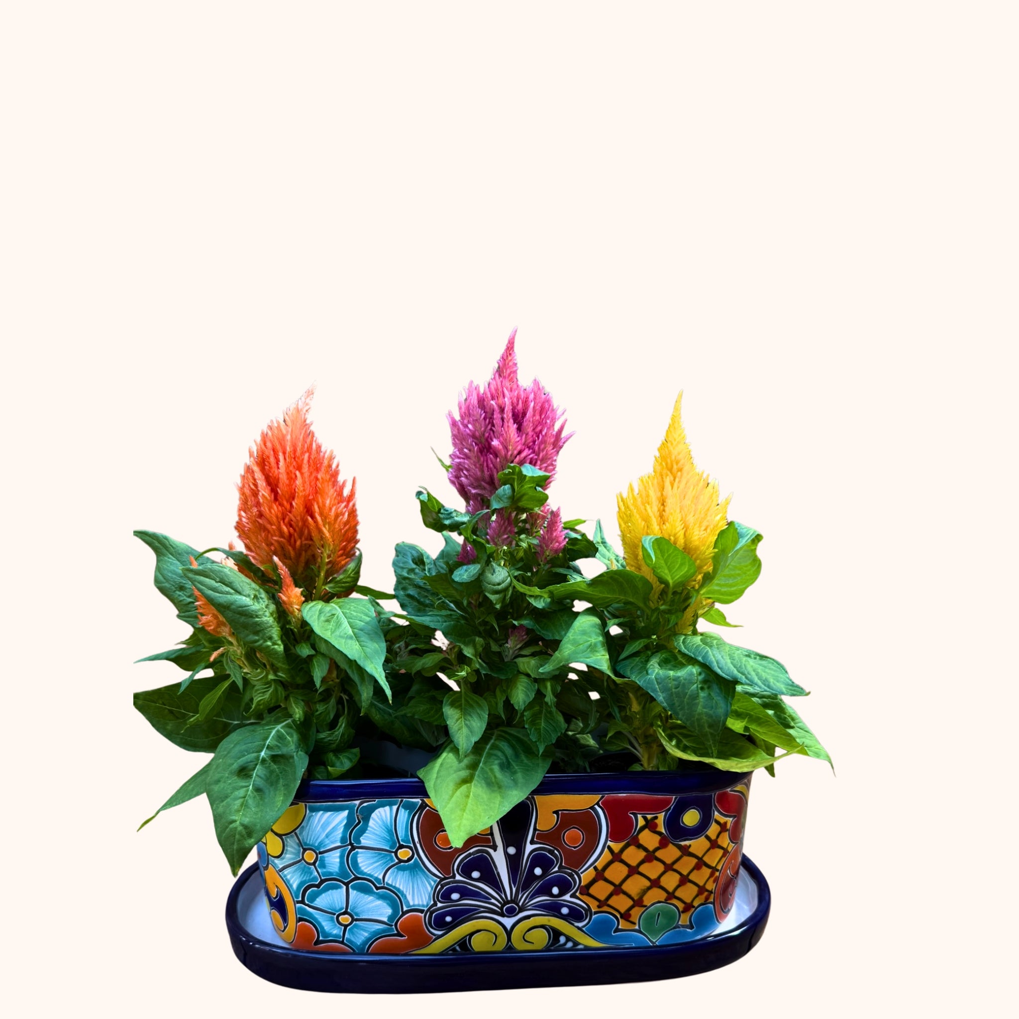 Handgemaakte Fairtrade Mexicaanse overpot langwerpig 34 cm , handgemaakt keramiek uit Mexico - Belleza del Sur