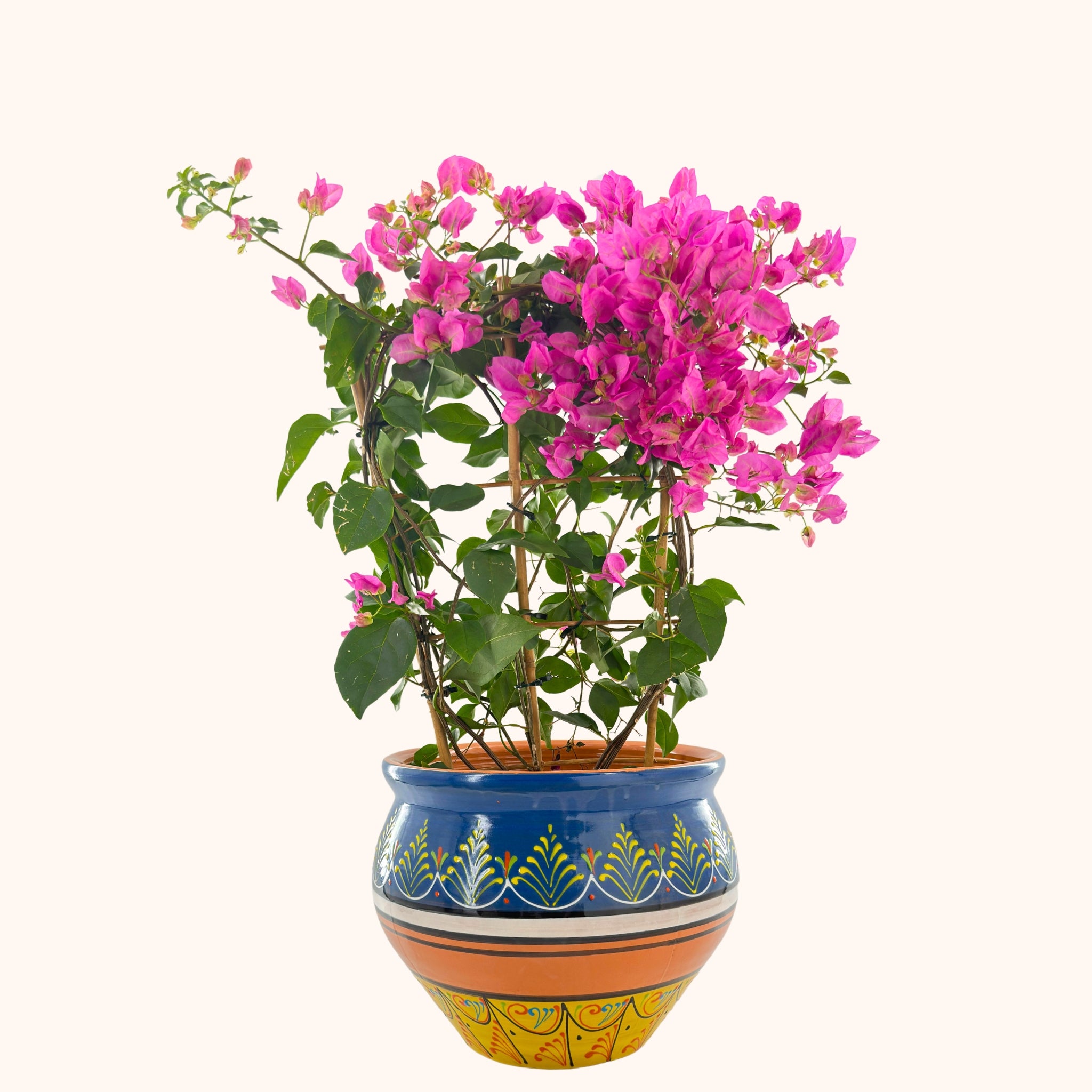Handbeschilderde Spaanse plantenpot Azul y amarillo (terracotta)