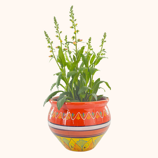 Handbeschilderde Spaanse plantenpot naranja y amarillo (terracotta)