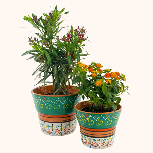 Handbeschilderde Spaanse keramieke bloempot Verde y Blanco