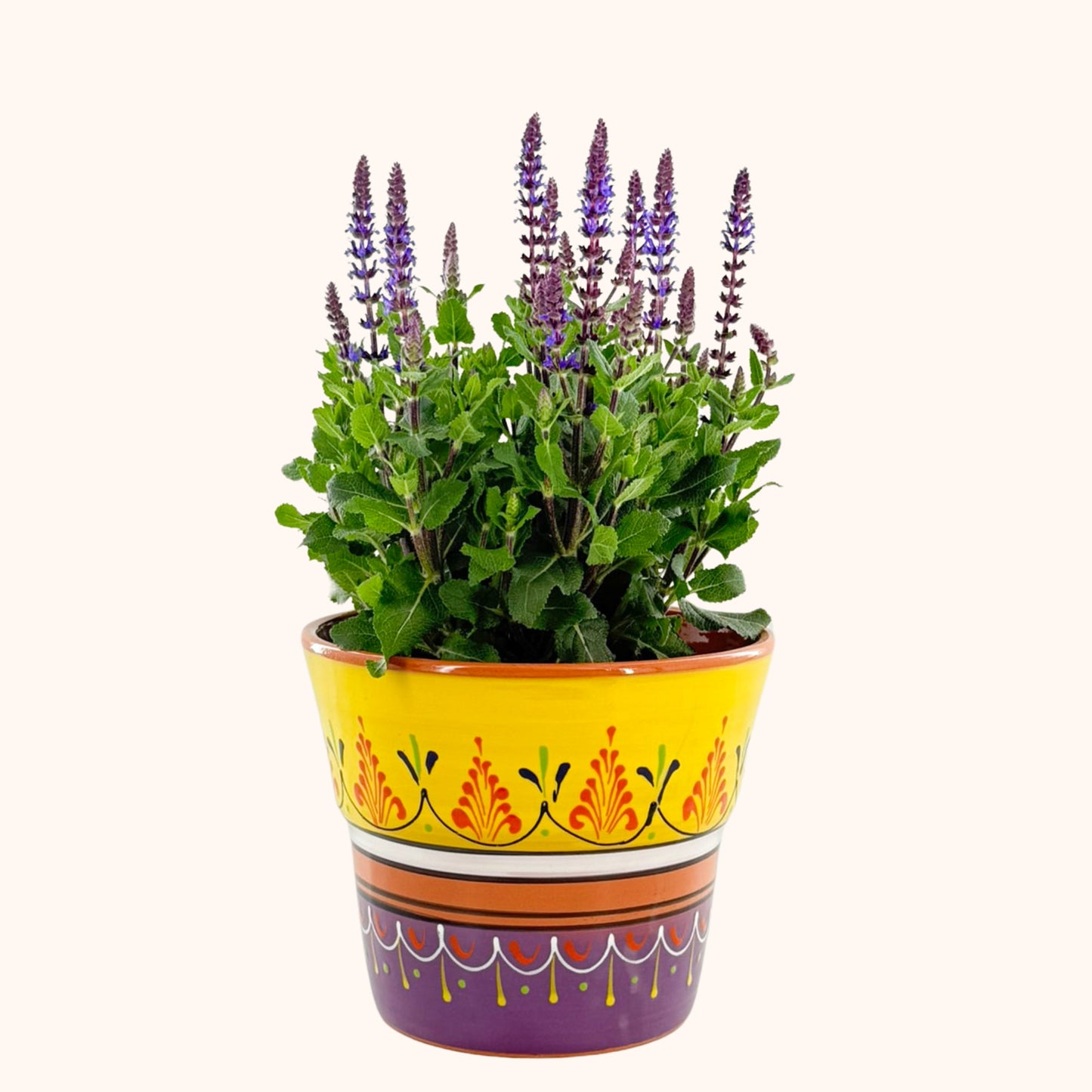 Handbeschilderde Spaanse keramieke bloempot Purpura y amarillo