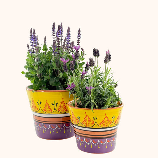 Handbeschilderde Spaanse keramieke bloempot Purpura y amarillo