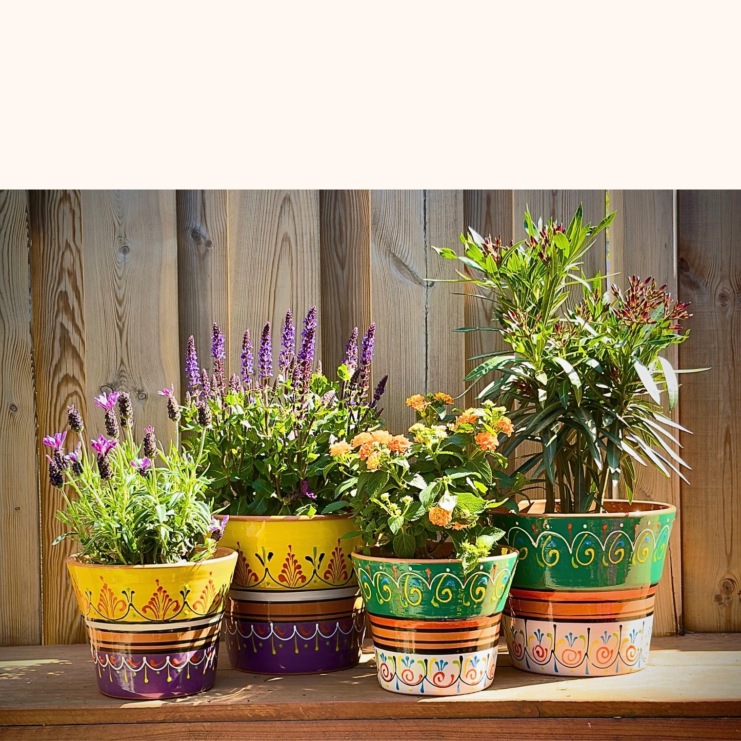Handbeschilderde Spaanse keramieke bloempot Purpura y amarillo