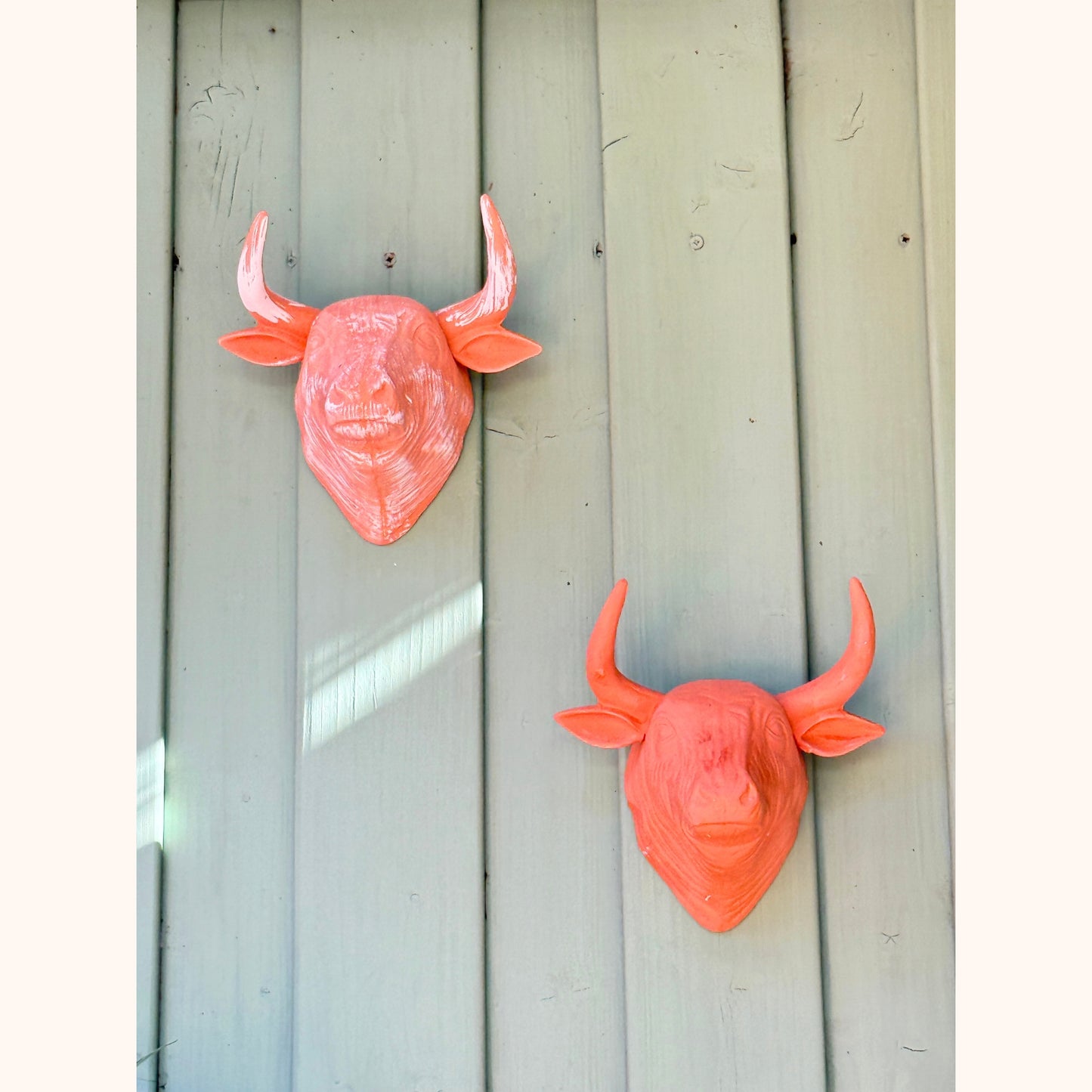 Terracotta stierenkop wanddecoratie met witte waas