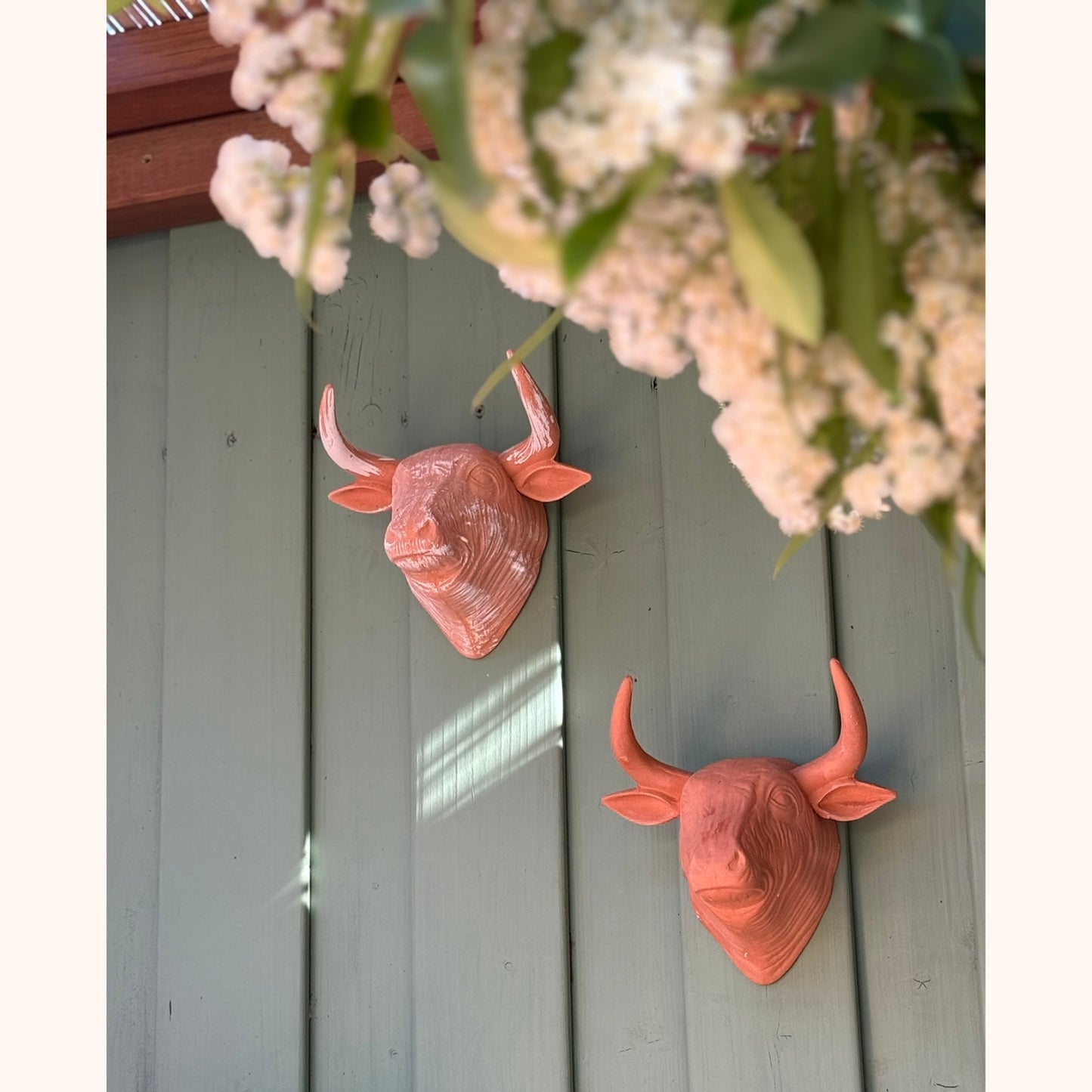 Terracotta stierenkop wanddecoratie met witte waas
